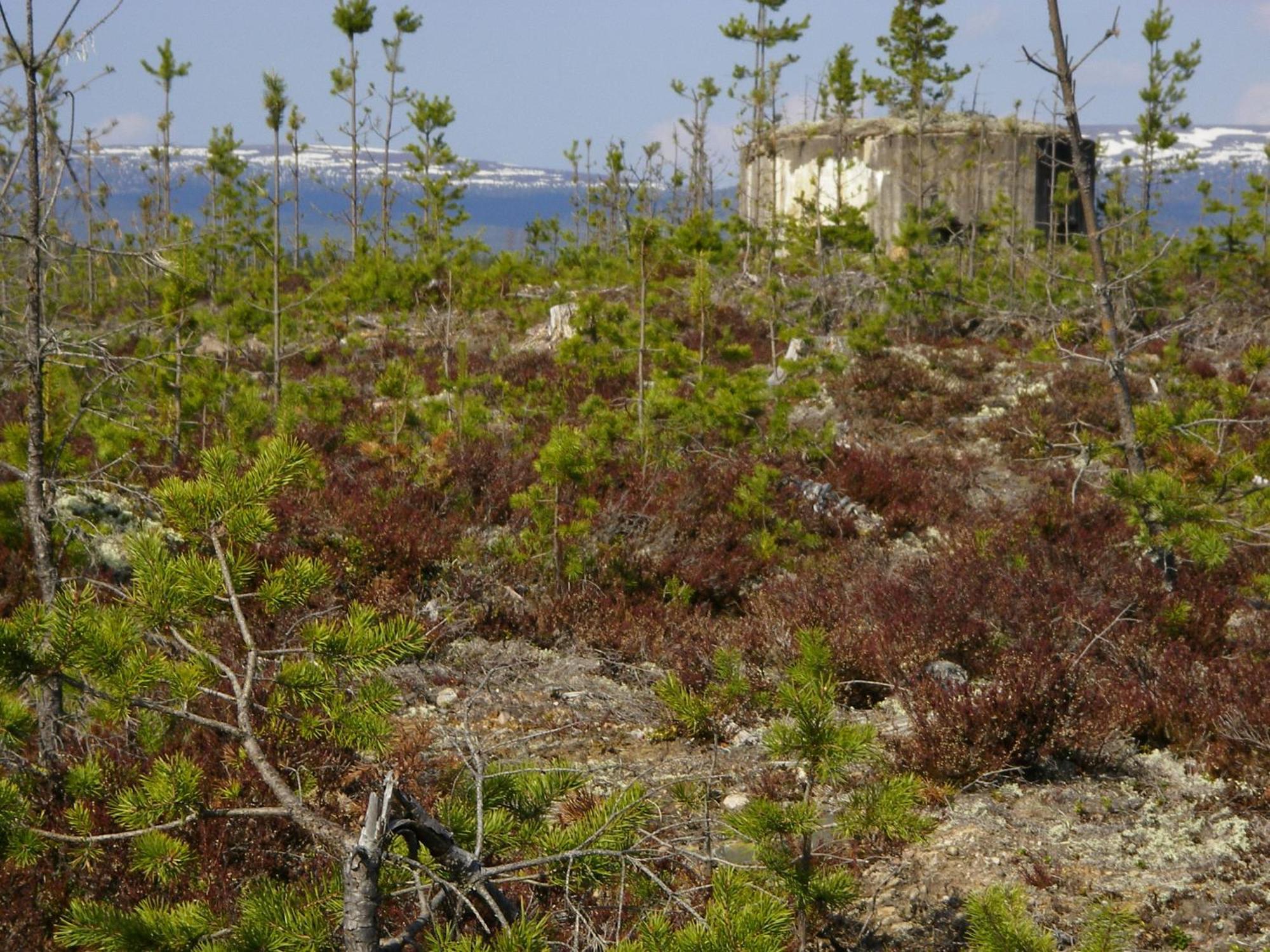 Saelens Vandrarhem I Graesheden Stoten Exterior photo